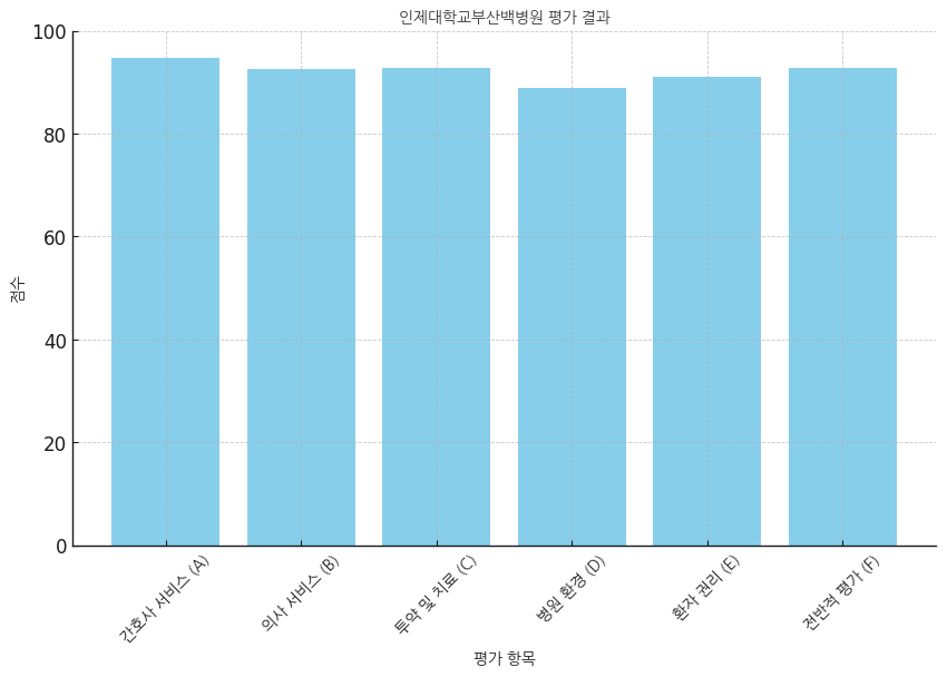 인제대학교 부산백병원 분석보고 : 환자경험평가 결과 및 서비스 세부 분석