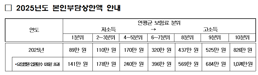 2025년 본인부담상한제 이용하기(826만원 신청방법)